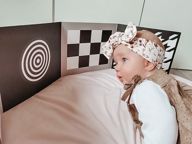 Baby Sensory & Development Boards